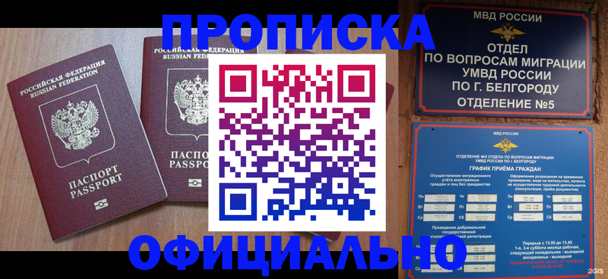 найти адрес прописки в Вельске